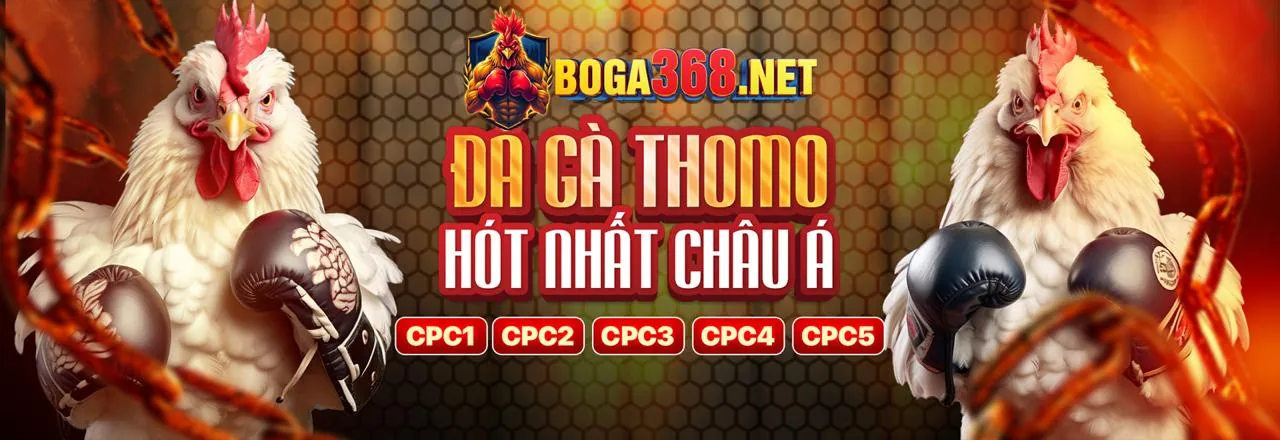 Đá Gà Trực Tuyến VI68