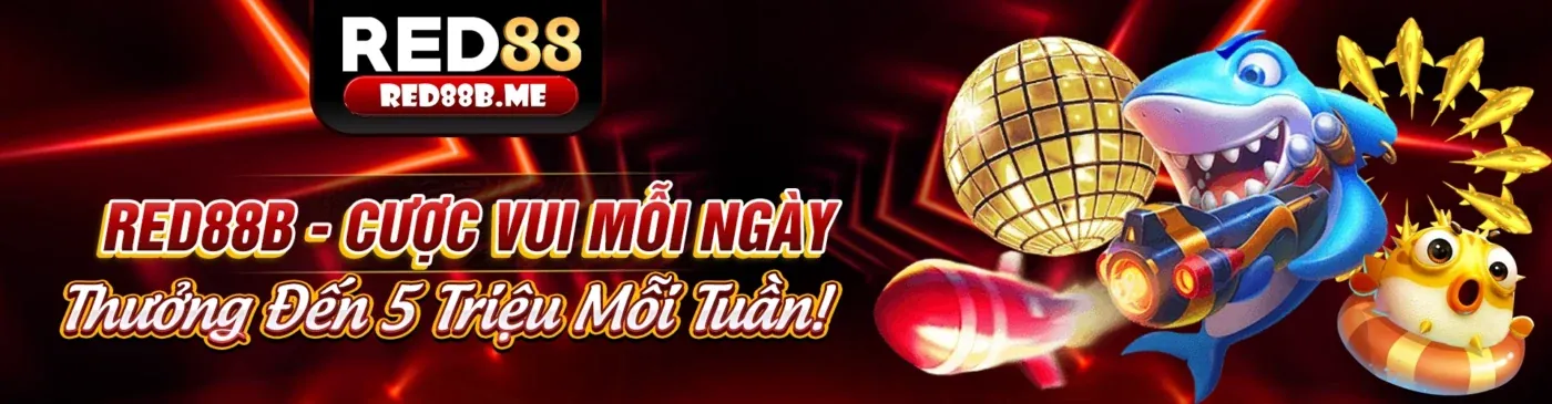 Hình ảnh minh họa việc cập nhật chính sách quyền riêng tư